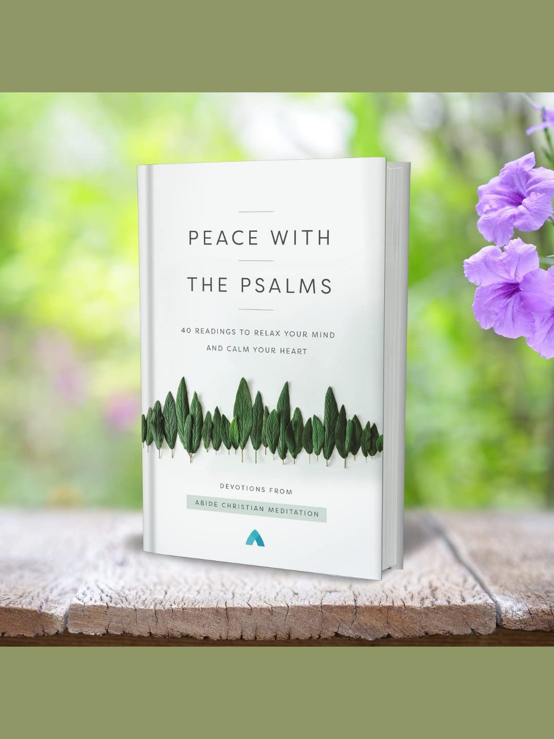 Devotional Book Jesus Peace With The Psalms Hard Cover