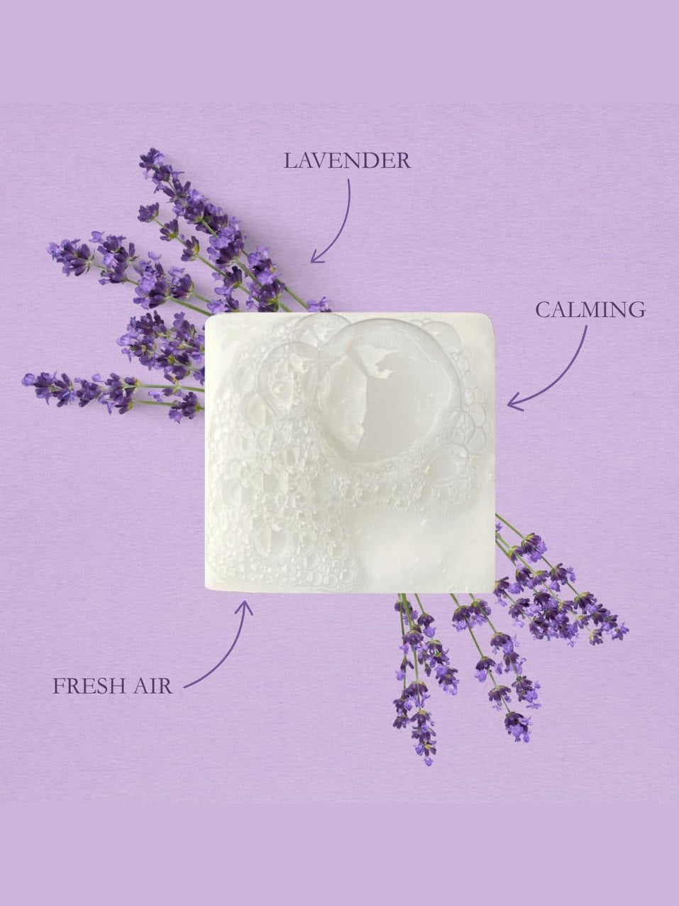 Forage Farmstead-Bar Soap Wild Yonder Tallow Soap Grit Soap Supply&nbsp; Tal-Home