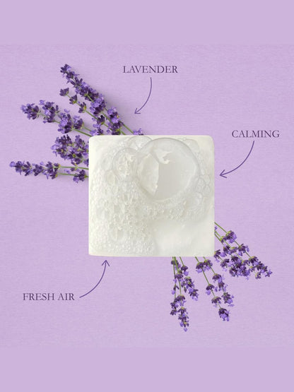 Forage Farmstead-Bar Soap Wild Yonder Tallow Soap Grit Soap Supply&nbsp; Tal-Home