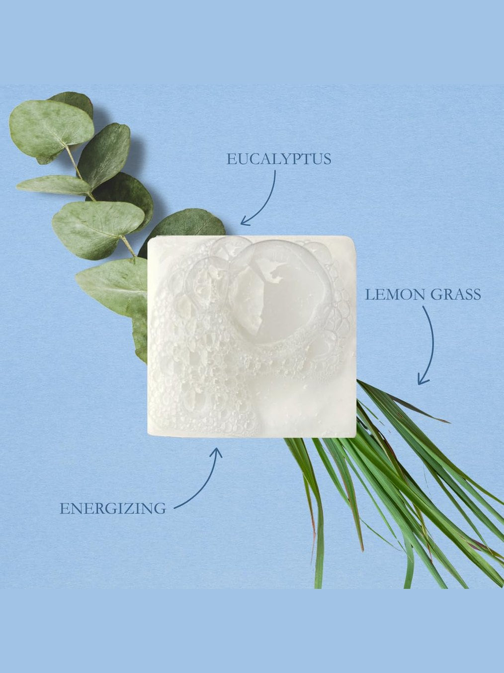 Bar Soap Wild Yonder Tallow Soap Grit Soap Supply&nbsp; Tal-wild