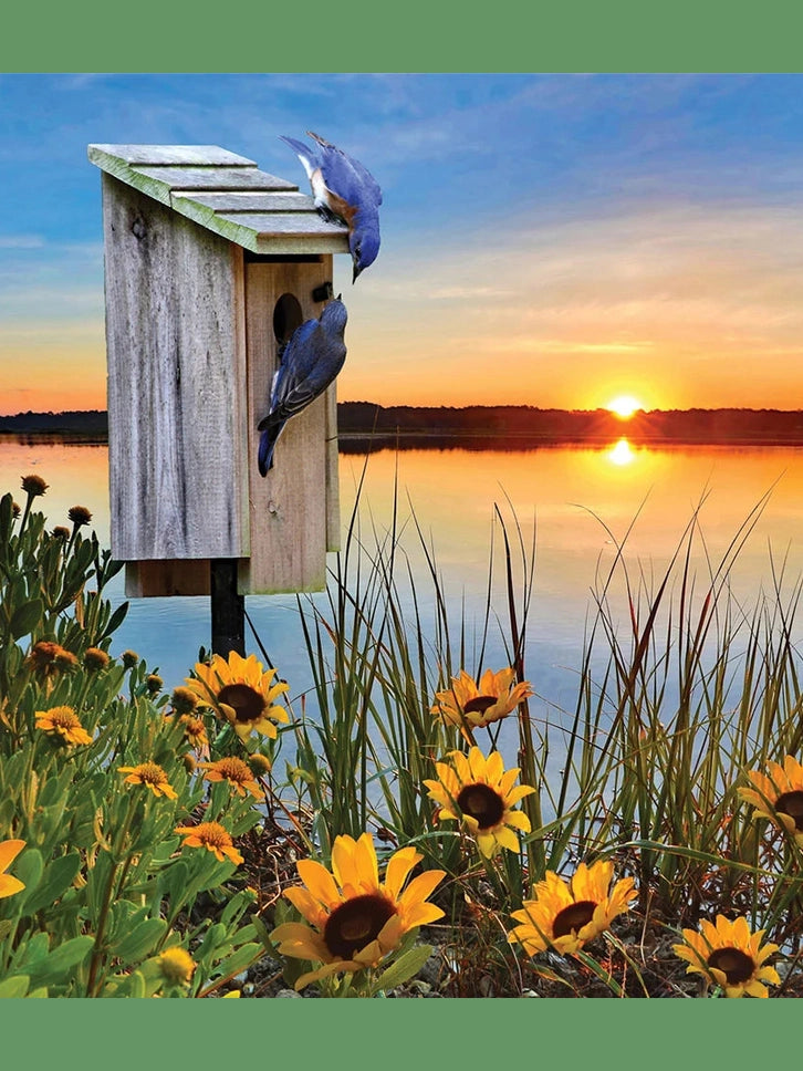 Puzzle Bluebird Sunrise 1000 pc 40803
