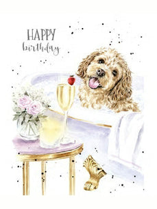 Card Aoc249 Birthday Pampered Pup