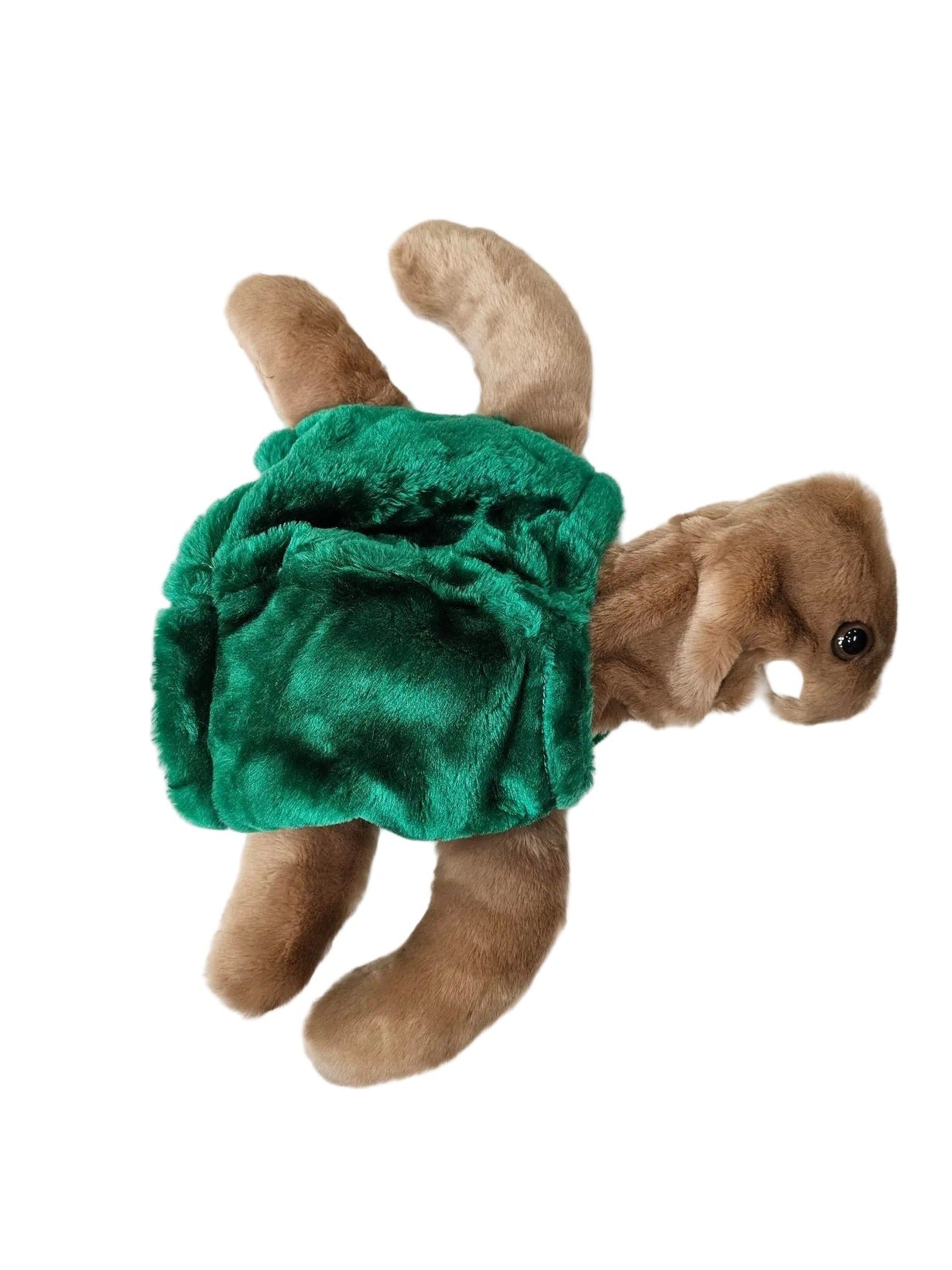 Puppet Turtle