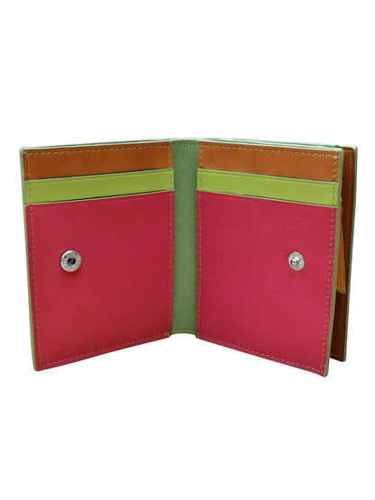 Wallet Small Snap Zipper Sage Multi Leather 7177 