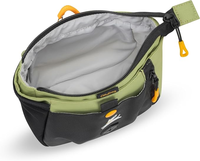 Goodie Back country Day Bag Palm 14456