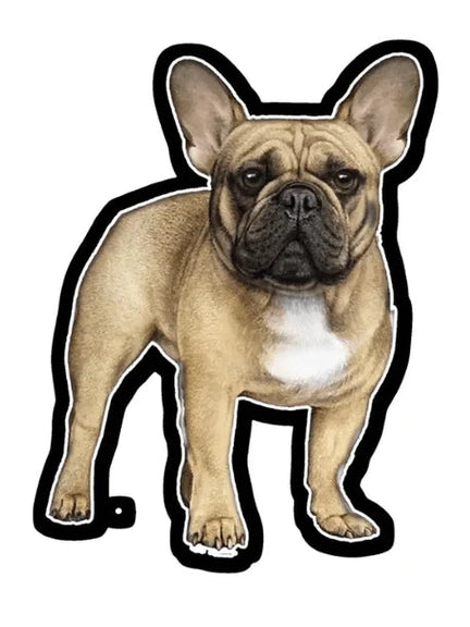 E&amp;S-Vinyl Sticker French Bull Dog 788-64