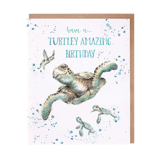 Card -  AOC137 - Turtley Amazing Birthday - Turtles 