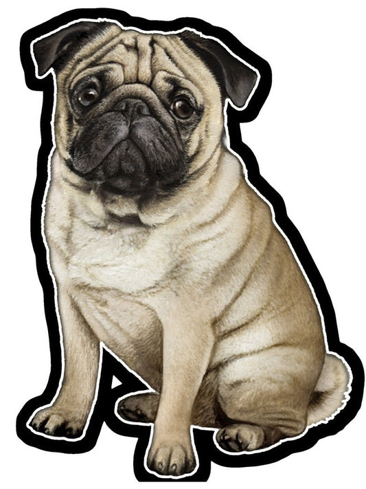 Vinyl Sticker&nbsp; Pug Dog 788-31