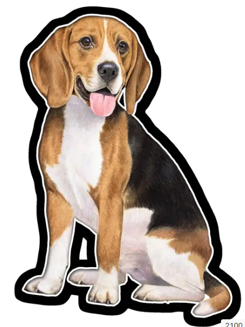 Vinyl Sticker Beagle Dog 788-3
