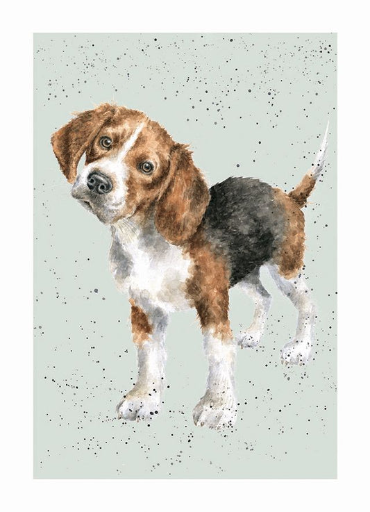 Card - ADR007 - Beagle - Dog 