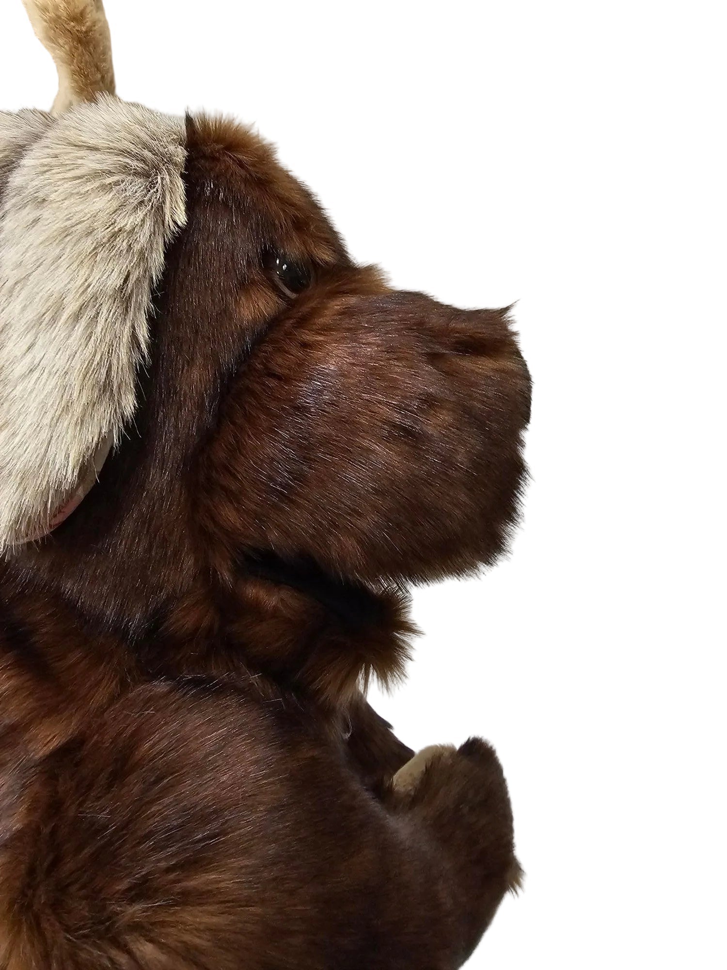 A close-up of a brown dog wearing a cream-colored furry hat or headpiece, photographed indoors against a white paneled wall.