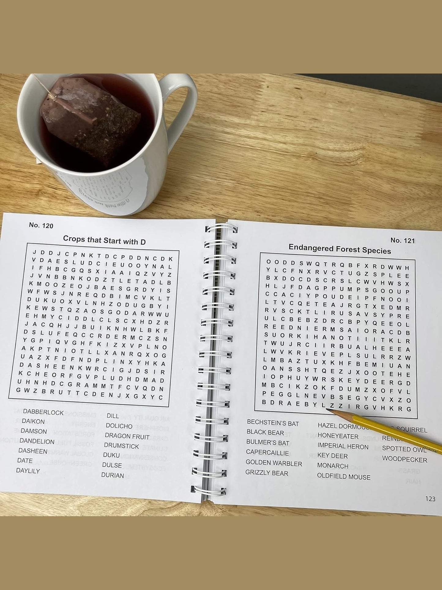 Word Search Puzzle Book John Deere 391086