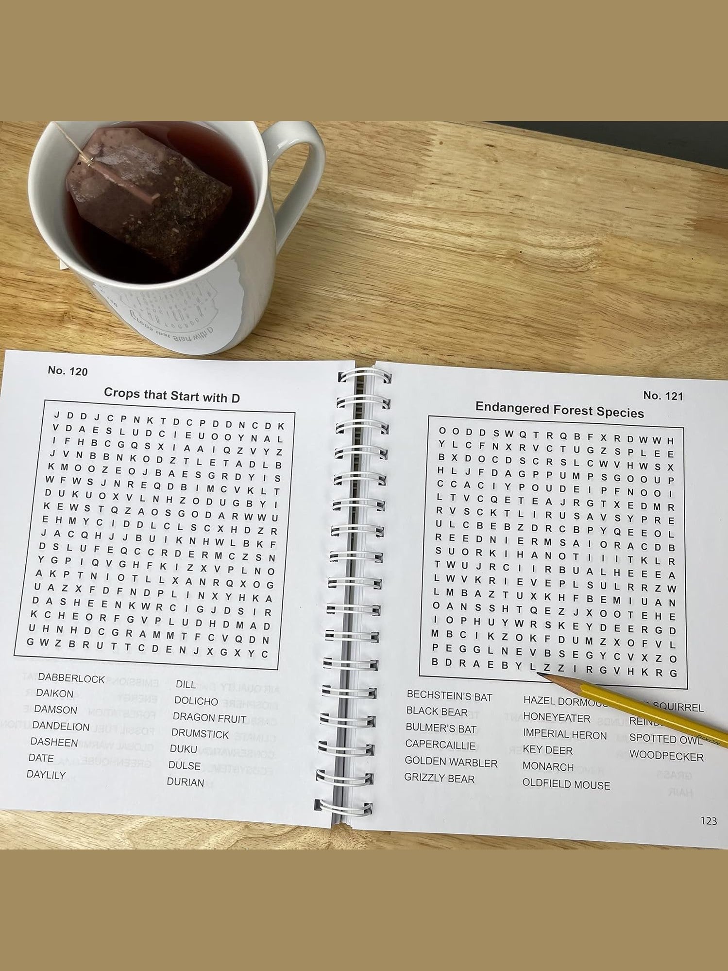 Word Search Puzzle Book John Deere 391086