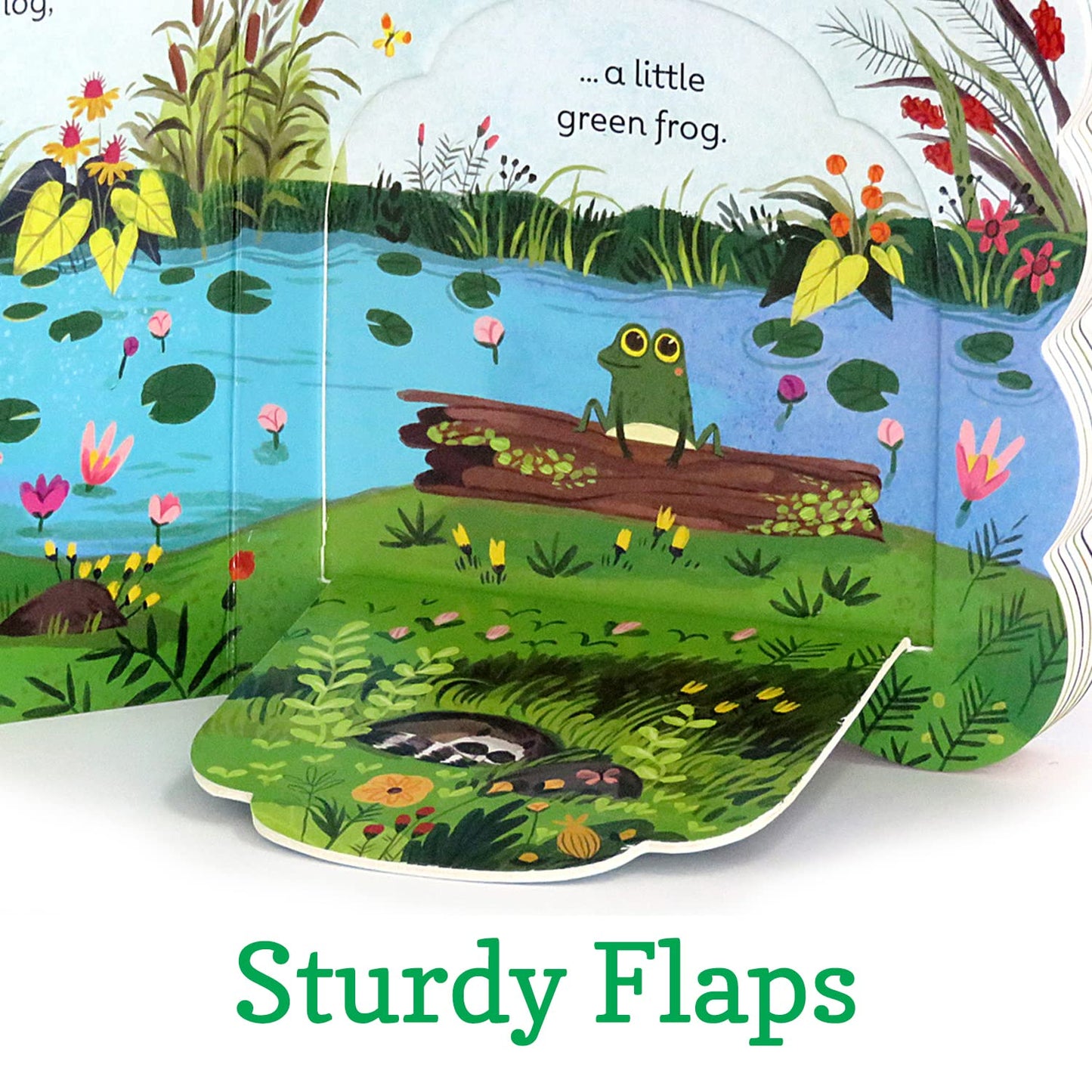 Book Little Green Frog Chunky Flap 390556 