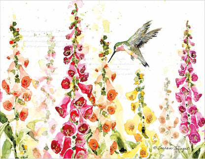 Note Cards Flutter Hummingbird 13Pk 1005990