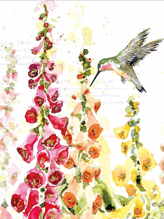Note Cards Flutter Hummingbird 13Pk 1005990
