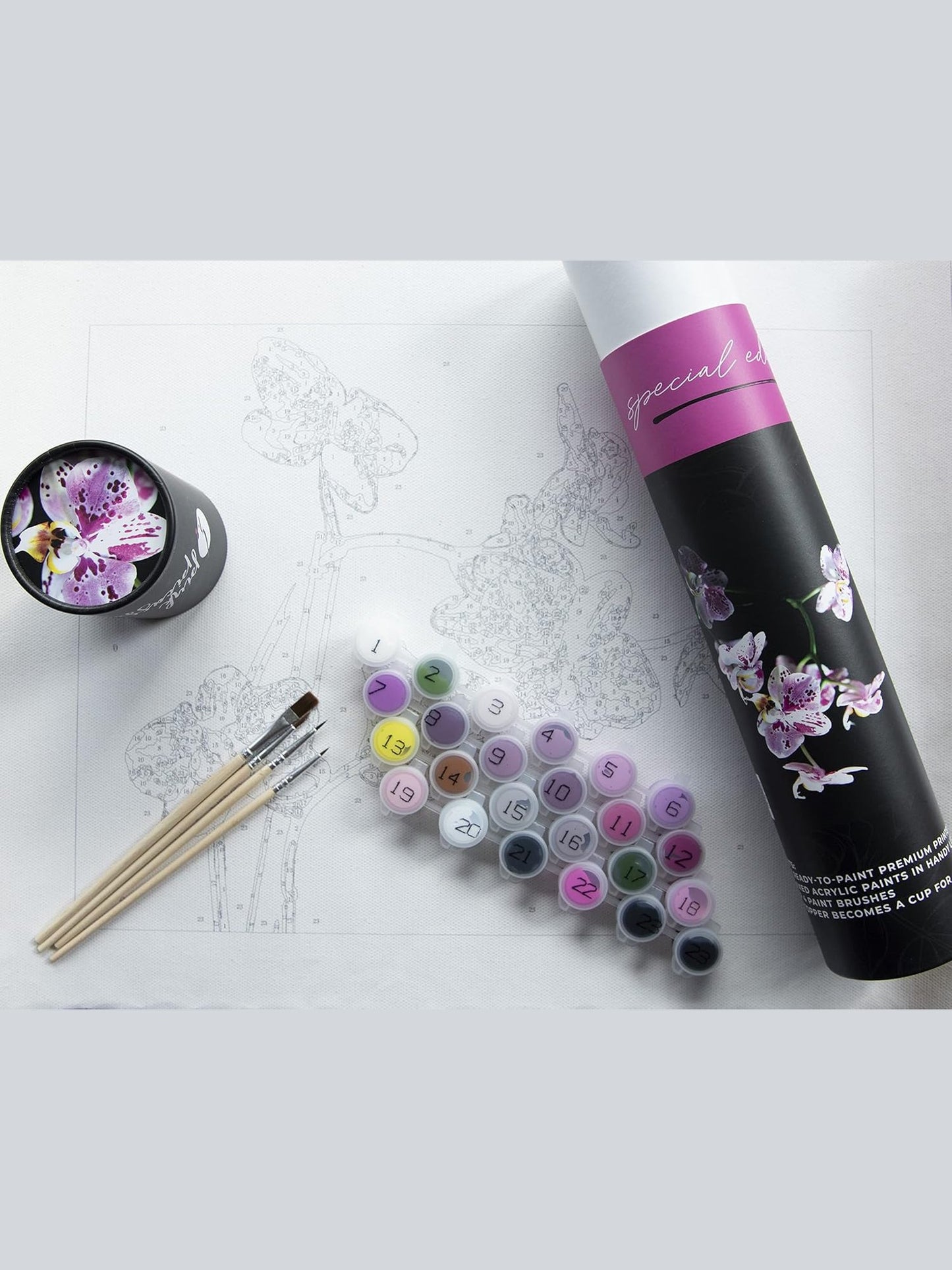 Paint By Number Special Edition&nbsp; G11x14" PPK-M-AU