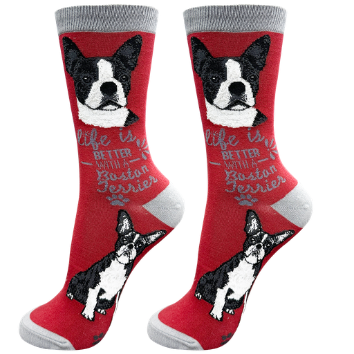 Socks  Boston Terrier     840-76 