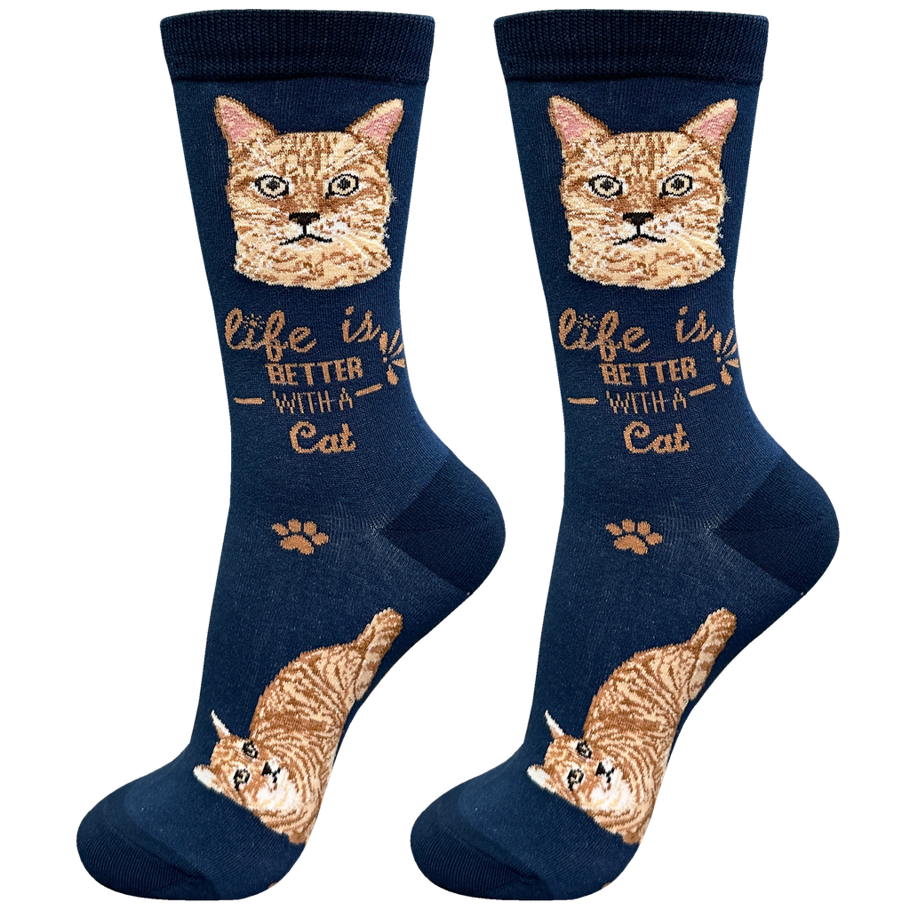 Socks  Orange Tabby     841-9 