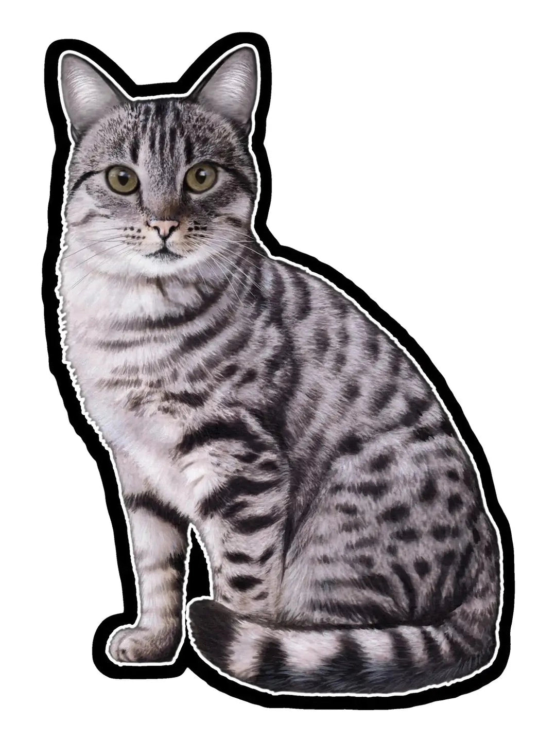Vinyl Sticker Silver Tabby Cat 789-9