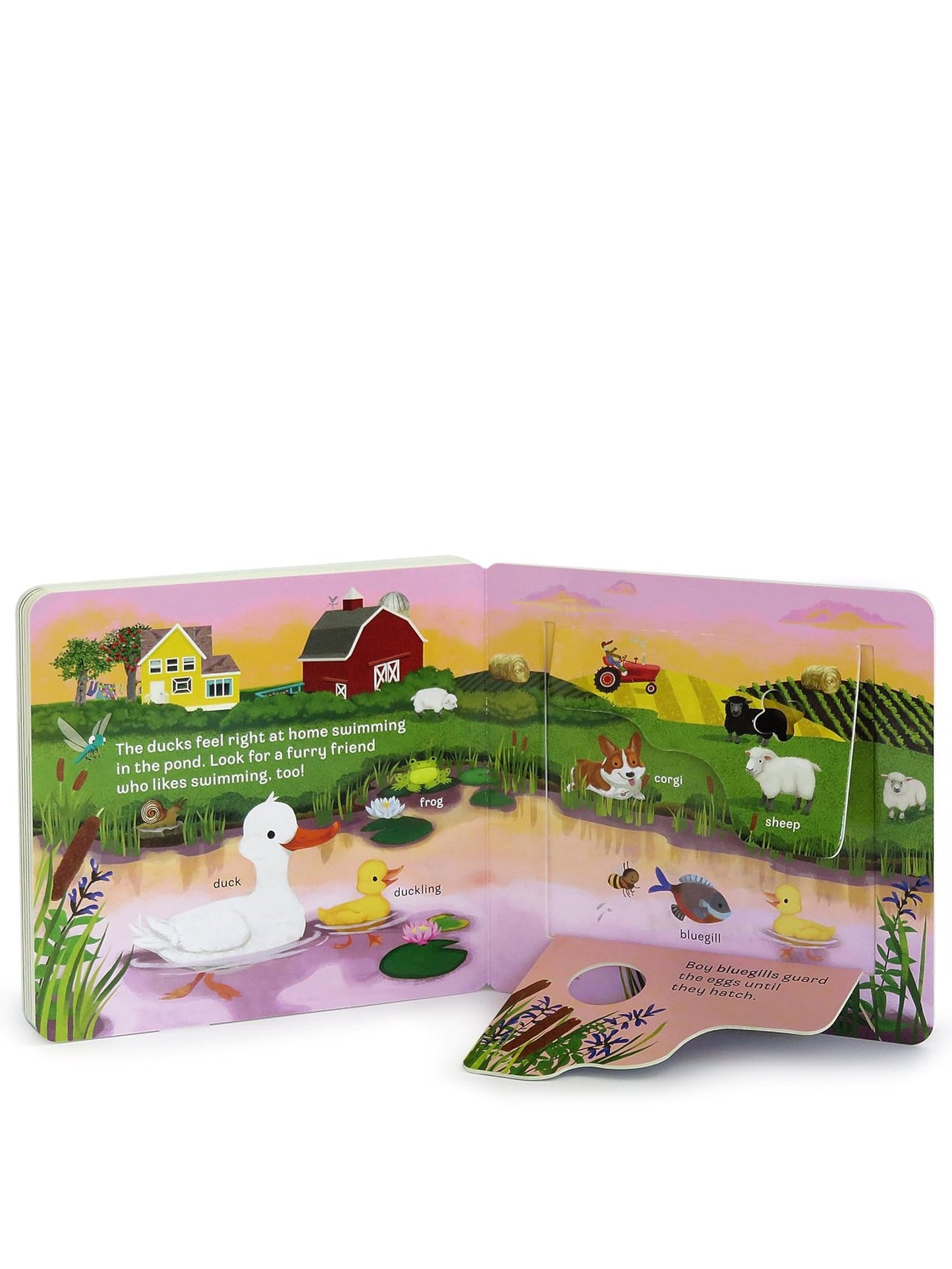 Peek A Flap Moo&nbsp; Children's Book 390563
