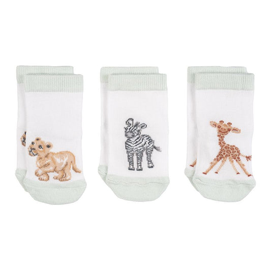 Baby Sock Gift Set - LTW-SOCK005 - Little Savannah (0-6 mos) 
