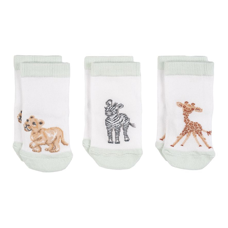 Baby Sock Gift Set - LTW-SOCK005 - Little Savannah (0-6 mos) 