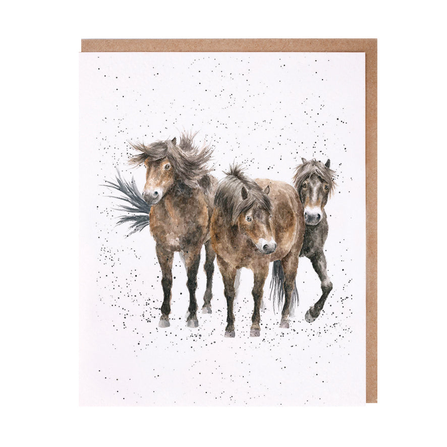Card - ACS113 - The Three Amigos Horses - Blank Inside 