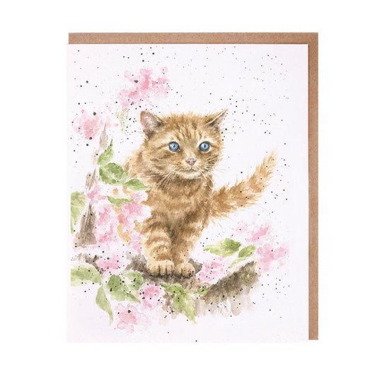 Card - ACS116 - The Marmalade Cat - Blank Inside 