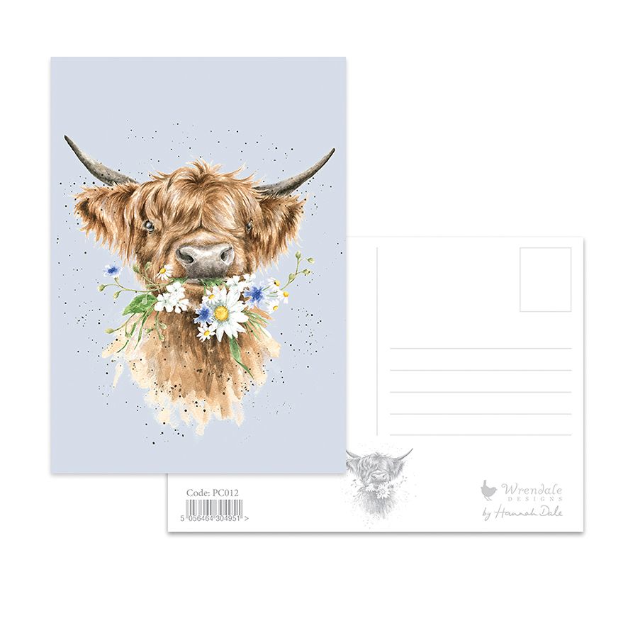 Postcard  PC012 Daisy Coo Cow 