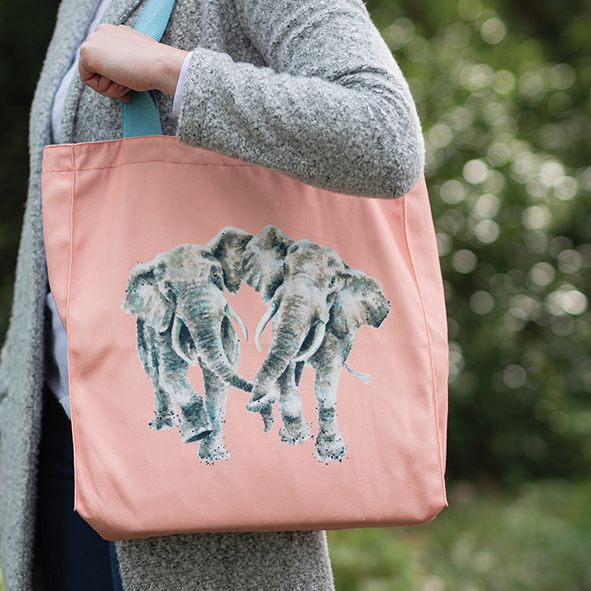 Canvas Tote Bag - BGC009 -Age is Irrelephant 