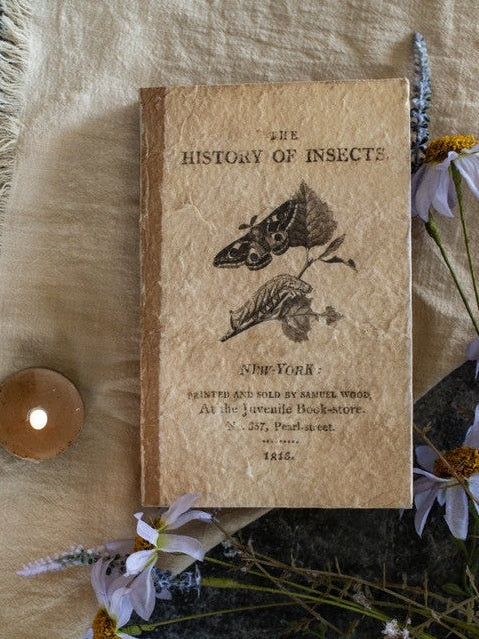 Journal History Of Insects Bf235106