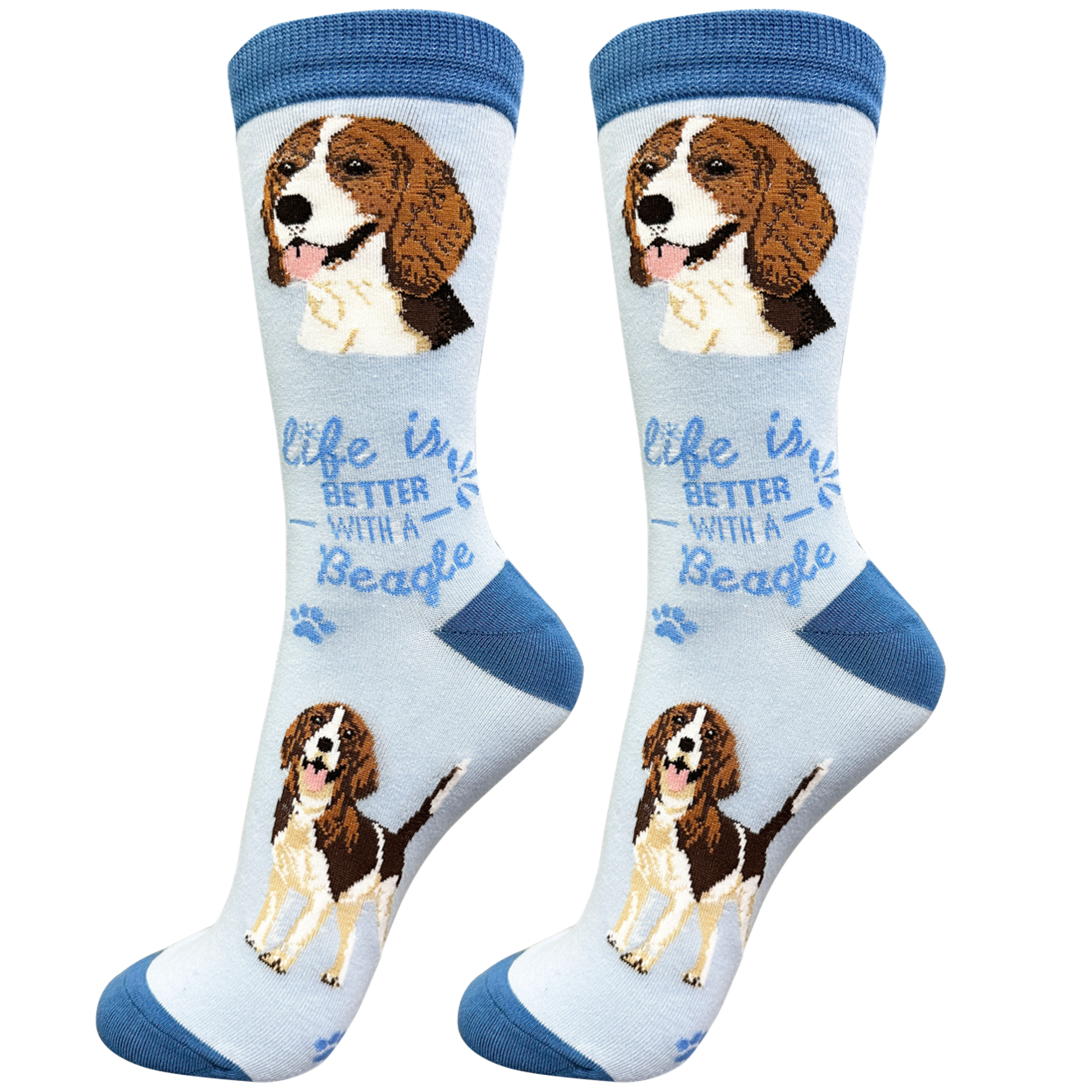 Socks  Beagle Dog    840-3 