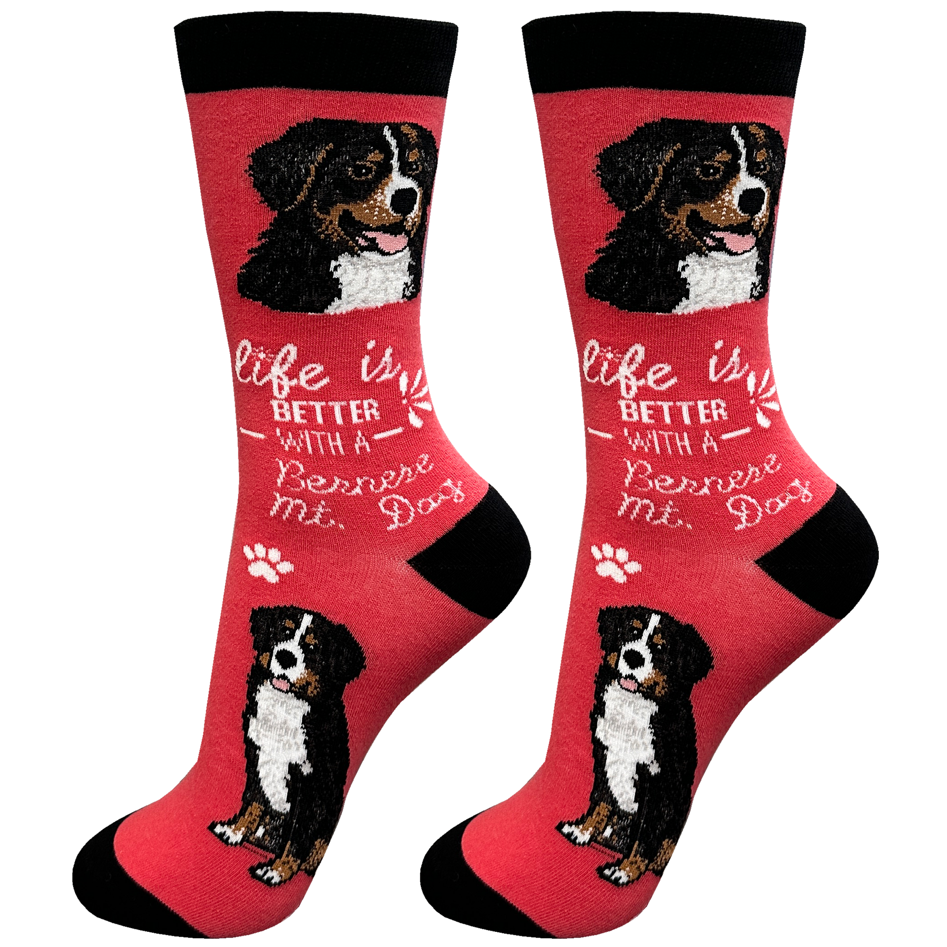 Bernese mt. Dog-Life Is Good-Unisex-Socks 