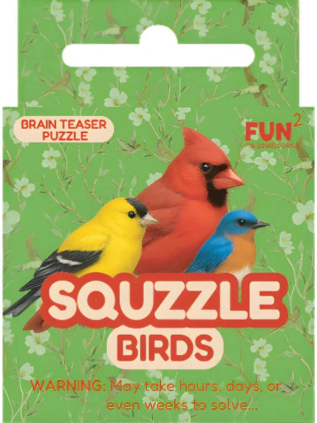 Fun Squared Games- Squizzle Birds 1037