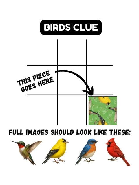 Fun Squared Games- Squizzle Birds 1037