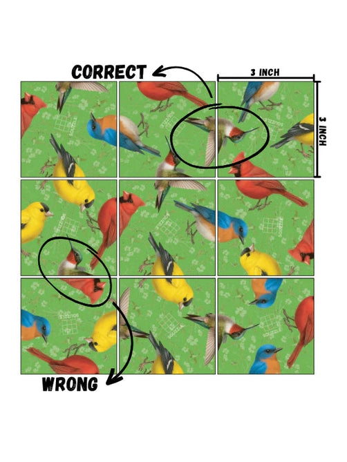 Fun Squared Games- Squizzle Birds 1037