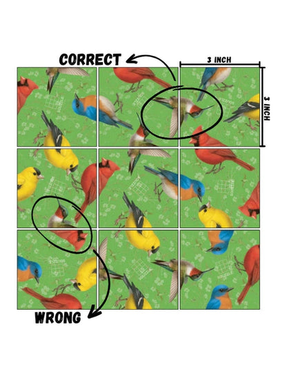Fun Squared Games- Squizzle Birds 1037
