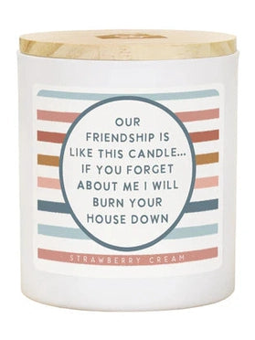 Candle Friendship Will Burn The House Down Strawberry Cream Cdl1077