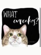 Coaster 02-01990 Cat What Cup Cakes 4x4" 