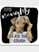 Coaster 02-01993 Dog Define Naughty 4x4" 