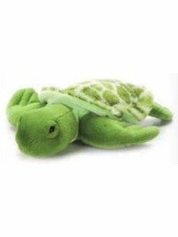 Scoopz Green Sea Turtle 8" 323907