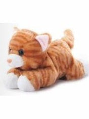 Zoologee-Scoopz Cat Orange Tabby &nbsp;8" &nbsp;723904
