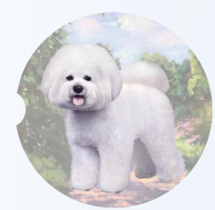 Car Coaster Bichon Frise Dog 233-4 