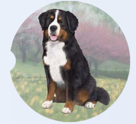 Car Coaster Bernese Mt. Dog 233-52 