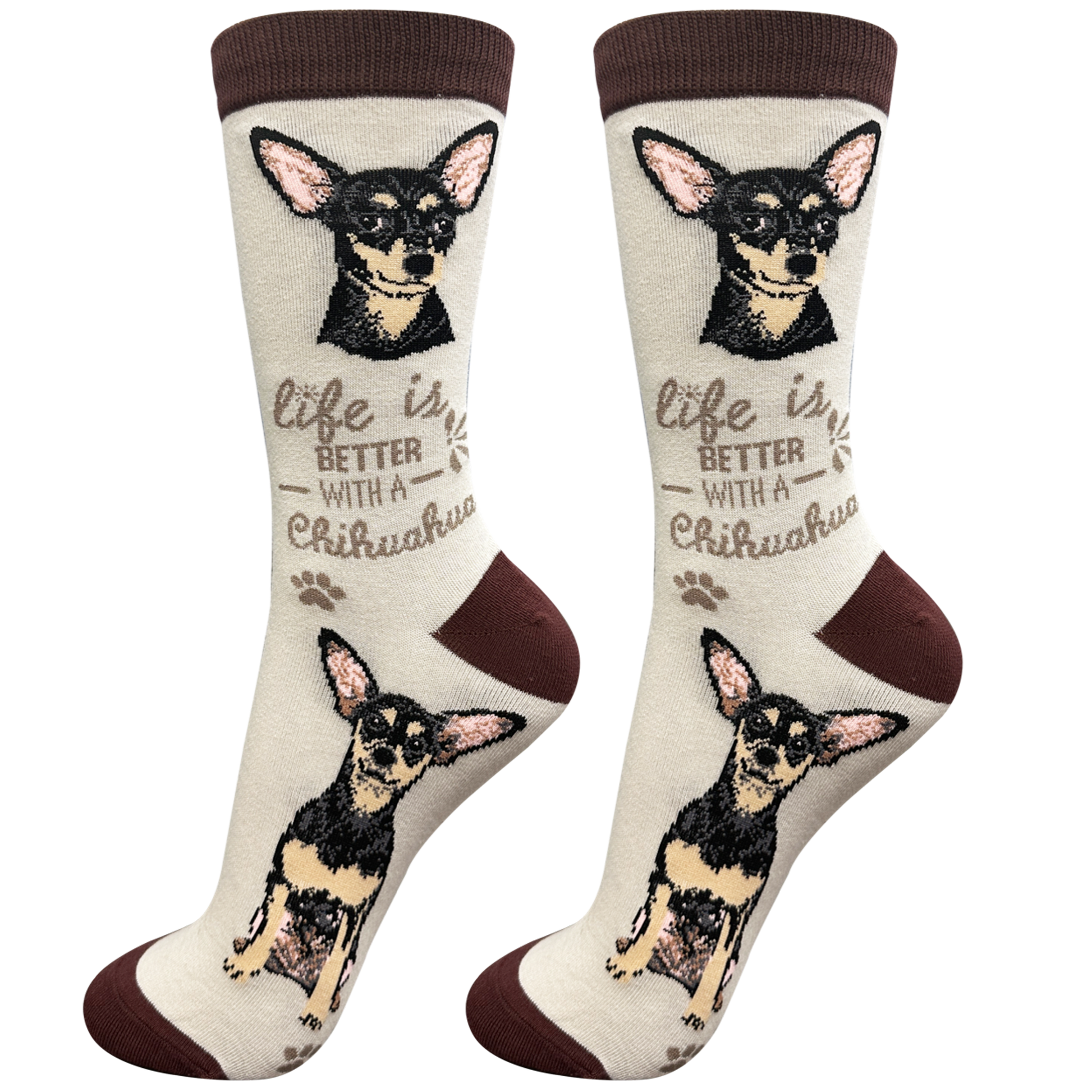 Socks  Chihuahua Dog   Black  840-11 