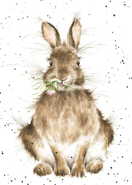 Card - ACS057 - Daisy Bunny 