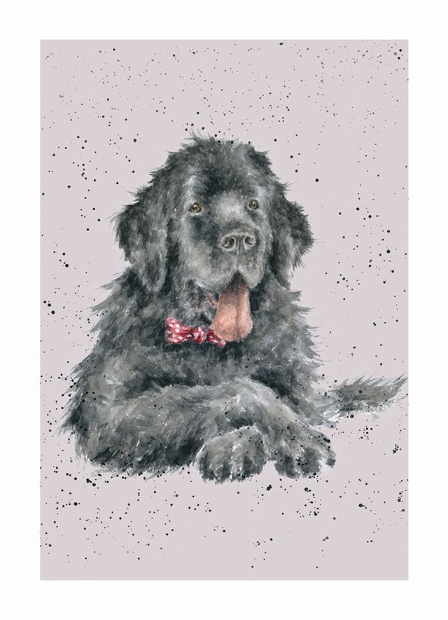 Card - ADR030 - Newfoundland Black Dog - Blank Inside 