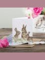 Gift Enclosure Card Born Free Rabbit Ge019