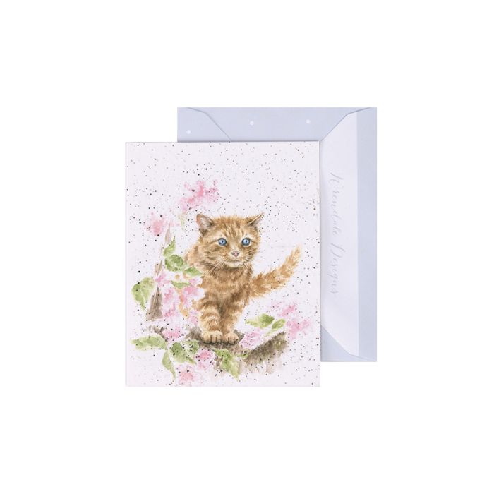 Gift Enclosure Card -GE062 -The Marmalade Cat' 